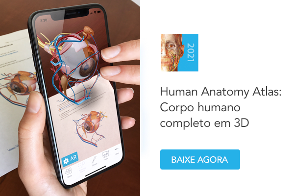 Human Anatomy Atlas